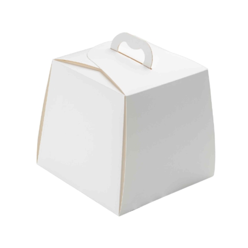 Carrier Box with Handle
